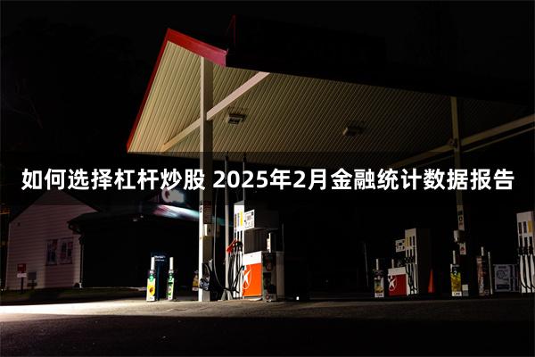 如何选择杠杆炒股 2025年2月金融统计数据报告