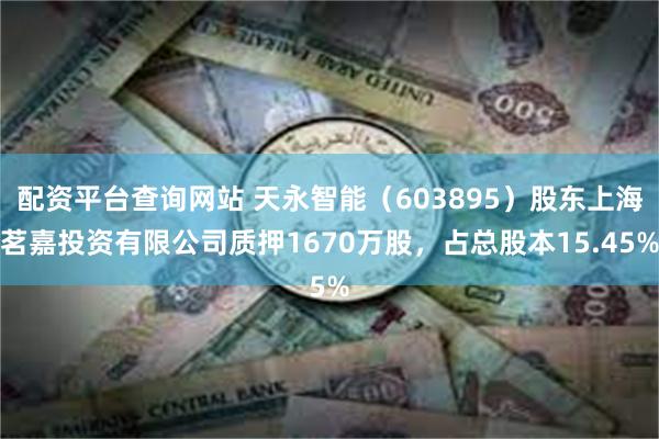 配资平台查询网站 天永智能（603895）股东上海茗嘉投资有限公司质押1670万股，占总股本15.45%