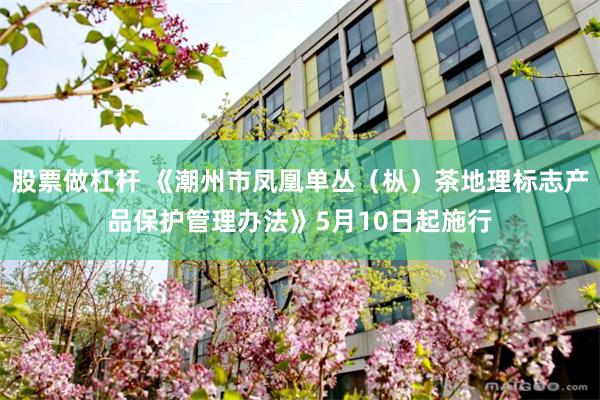 股票做杠杆 《潮州市凤凰单丛（枞）茶地理标志产品保护管理办法》5月10日起施行