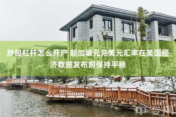 炒股杠杆怎么开户 新加坡元兑美元汇率在美国经济数据发布前保持平稳