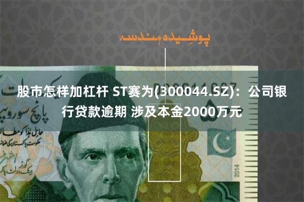 股市怎样加杠杆 ST赛为(300044.SZ)：公司银行贷款逾期 涉及本金2000万元