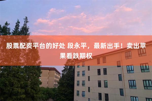 股票配资平台的好处 段永平，最新出手！卖出苹果看跌期权