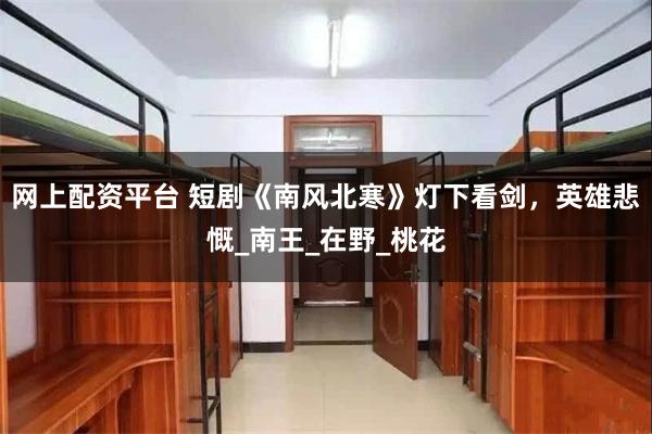 网上配资平台 短剧《南风北寒》灯下看剑，英雄悲慨_南王_在野_桃花