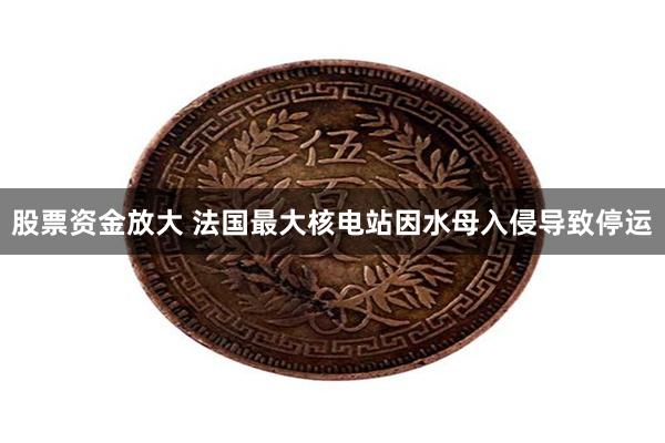 股票资金放大 法国最大核电站因水母入侵导致停运