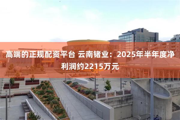 高端的正规配资平台 云南锗业：2025年半年度净利润约2215万元