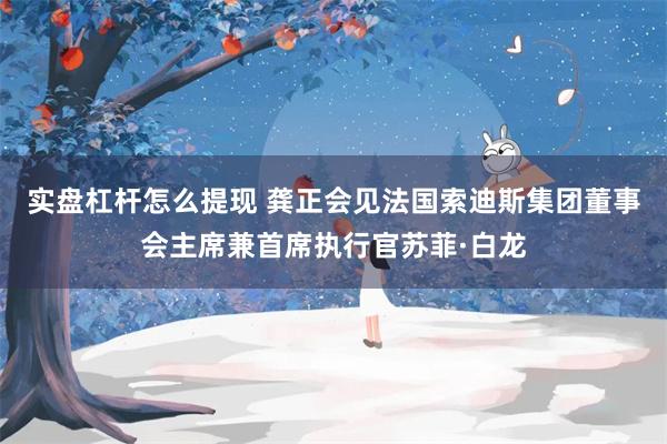 实盘杠杆怎么提现 龚正会见法国索迪斯集团董事会主席兼首席执行官苏菲·白龙