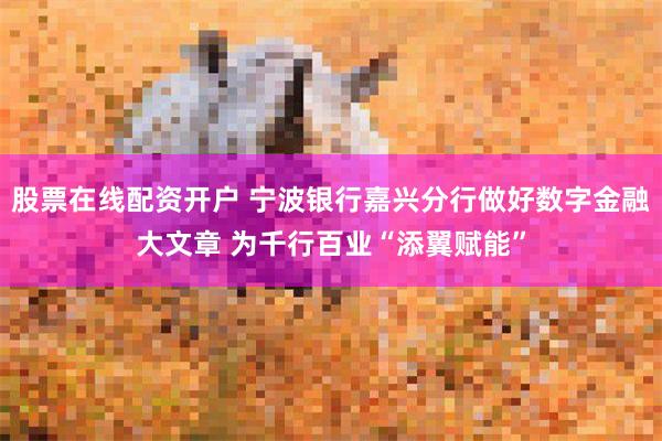 股票在线配资开户 宁波银行嘉兴分行做好数字金融大文章 为千行百业“添翼赋能”